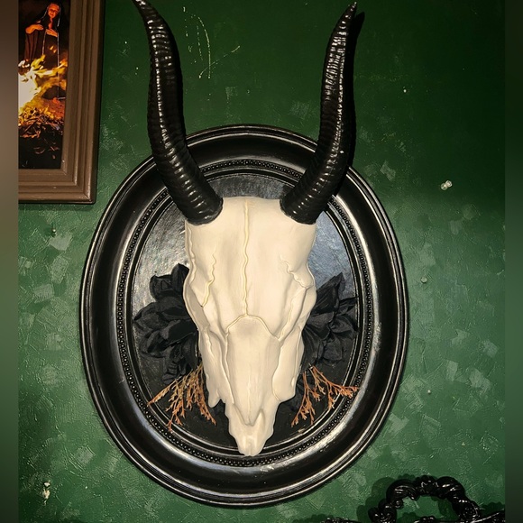 💀Animal skull (replica) Dark Academia Wall Hanging🖤 - Picture 1 of 1